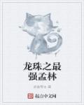 龙珠之最强悟饭免费阅读