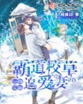 甜妻攻略总裁老公宠不停