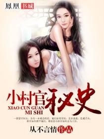 乡村小村官的极品生活