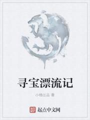 寻宝记 纪录片