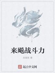 战斗力最强的鸟