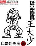 极品修真少年免费阅读