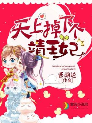 天上掉下个靖王妃动漫