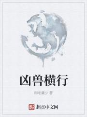 凶兽横行神雷降世麦当动漫合集