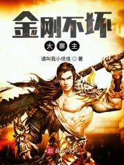 金刚不坏大寨主武学境界