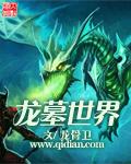 龙墓世界2