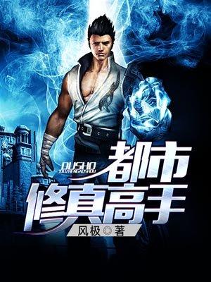 都市修真高手于飞