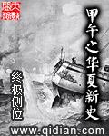 甲午之华夏新史全集