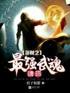 海贼之最强武装免费