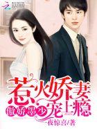 墨少难惹 娇妻带球跑