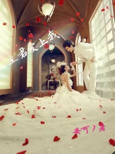 主君的太阳完整版