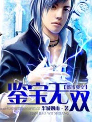 鉴宝无双免费观看
