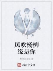 夜以继日风吹杨柳