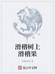 滑稽树上滑稽果的典故和传说