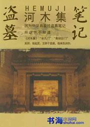 盗墓笔记之河木集好玩吗