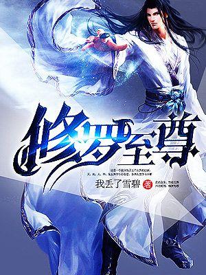 修罗至尊有几部