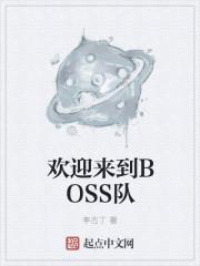 欢迎来到boss队无错字