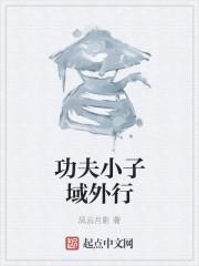 功夫小子ol
