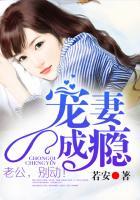 宠妻入骨总裁老公别乱来 免费阅读全文