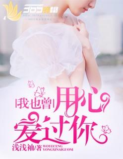 我也曾用心爱过你txt