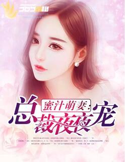 蜜汁盛宠总裁回家逗老婆
