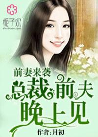 总裁前夫跟我回家