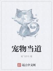 宠物lym