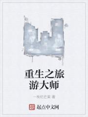 重生之旅游大师 一枚烂芒果