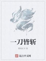 作者一刀斩斩斩的