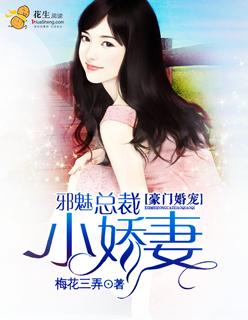 邪魅总裁小宠妻