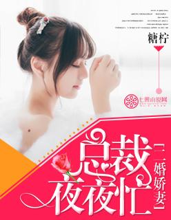 总裁跟他的二婚娇妻