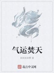 气运有什么用