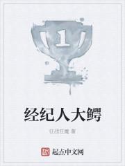 经纪人 综艺