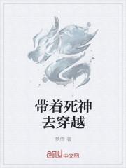 穿越死神黑崎一护