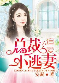 总裁追逃妻