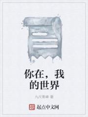 我的世界里是什么意思