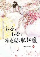 知否知否应是绿肥红瘦表达了什么感情