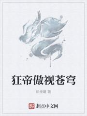 傲视苍穹文字传奇