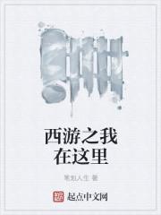 西游之我在写