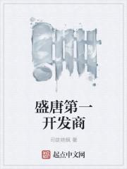 盛唐长安开发商是谁