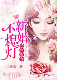 新婚不熄灯介绍
