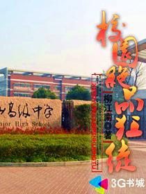 绝顶狂神全本