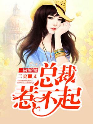 一夜撩情霸道总裁娇宠妻txt