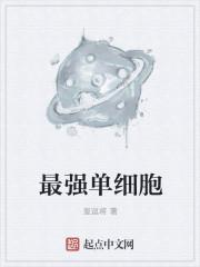 单细胞是什么东西