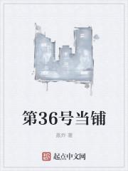 第36号当铺TxT