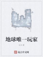 地球唯一玩家TXT