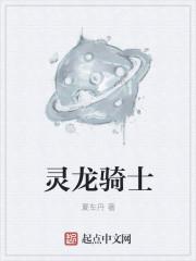 龙灵骑士的全部