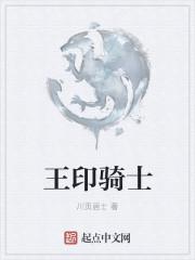 王印骑士是什么意思