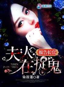 报告长官夫人又在捉鬼