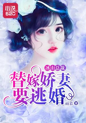 替嫁新娘冰山总裁强宠妻